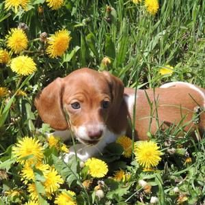 Meet your Posher, Terri